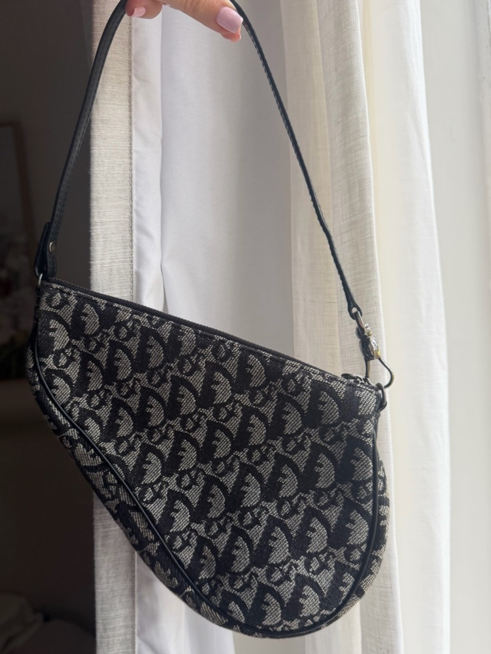 Dior Monogram Saddle Trotter Bag